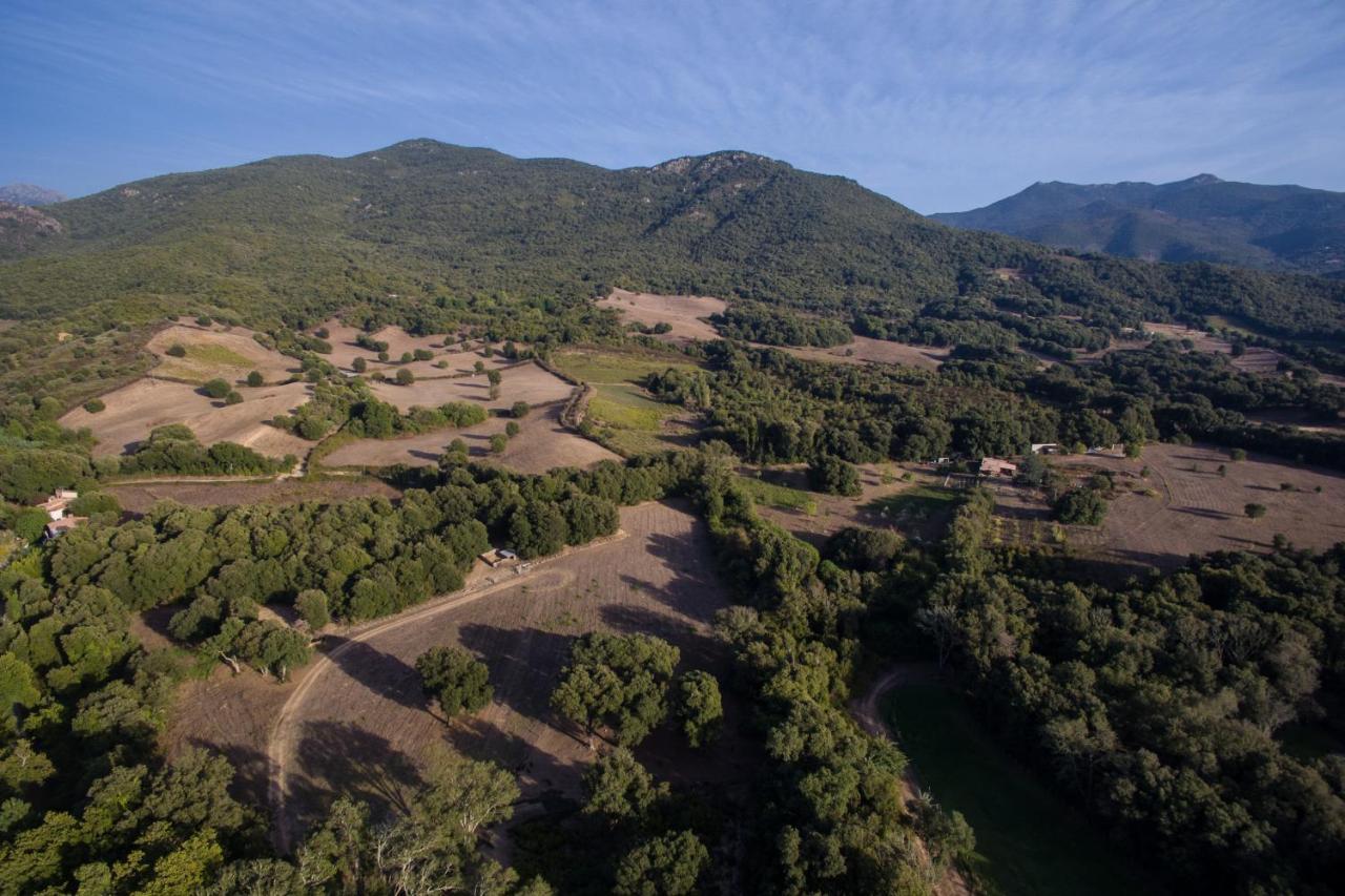 Domaine Finili Villa Cauro Eksteriør billede