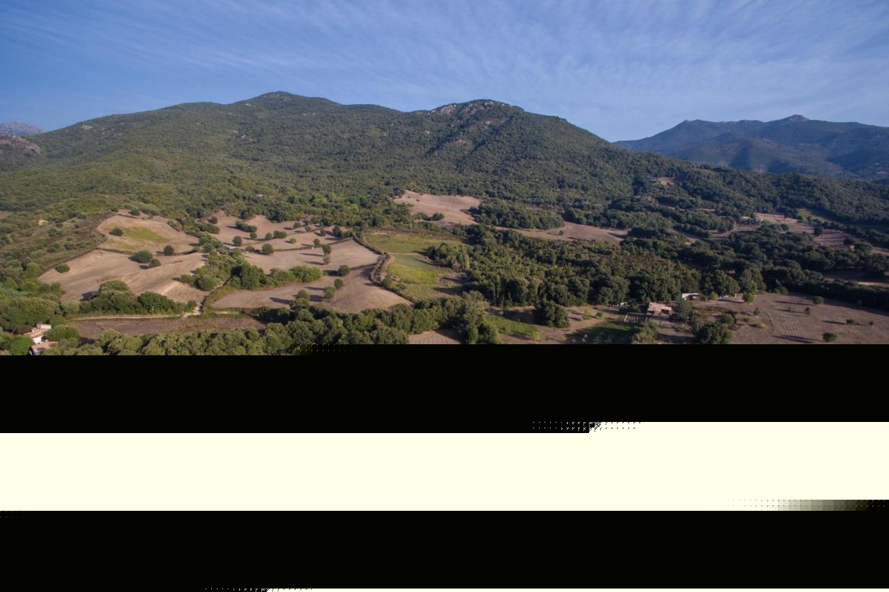 Domaine Finili Villa Cauro Eksteriør billede